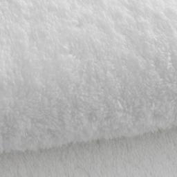 Brow Lamination + Lash Lift & Tint